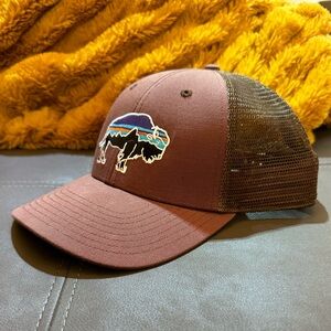 Patagonia Pinecone/Brown Fitz Roy Bison Buffalo Trucker Hat Snapback EUC